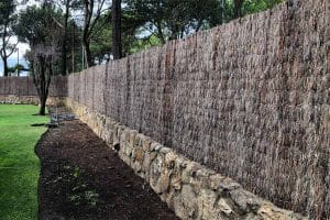 Ideas para proteger tu jardín de miradas ajenas con soluciones de Vame