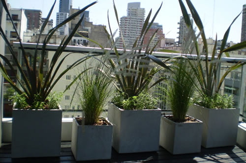 Decorar el bancón con plantas