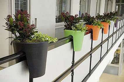 Balcón con macetas