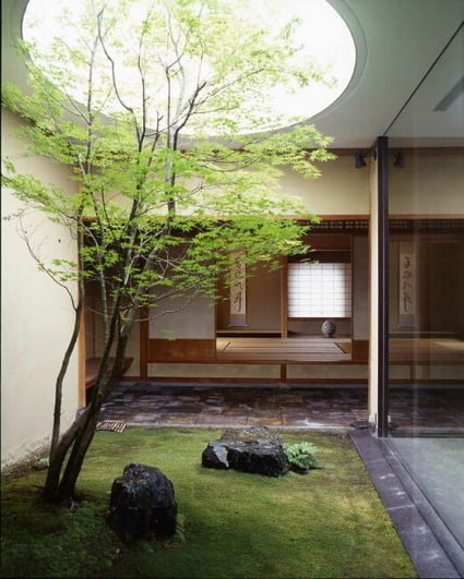 decoracion plantas2