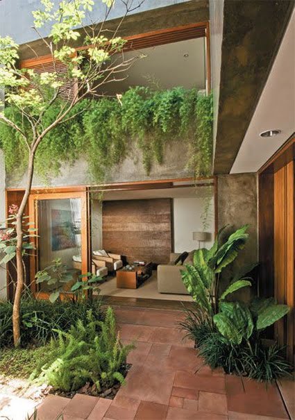 decoracion plantas