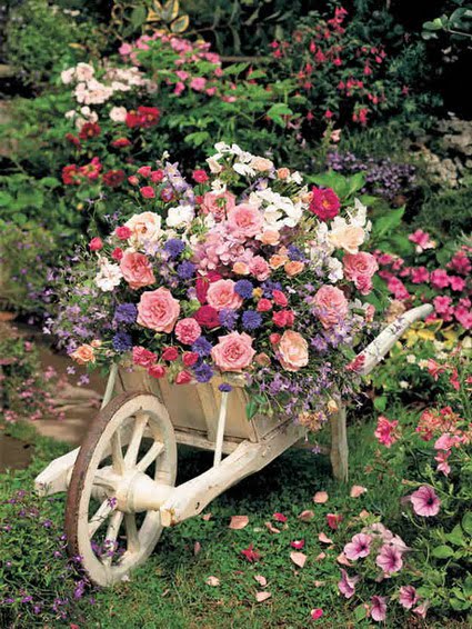 jardin decorado