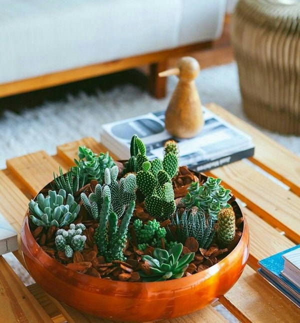 Centro de mesa hecho con cactus