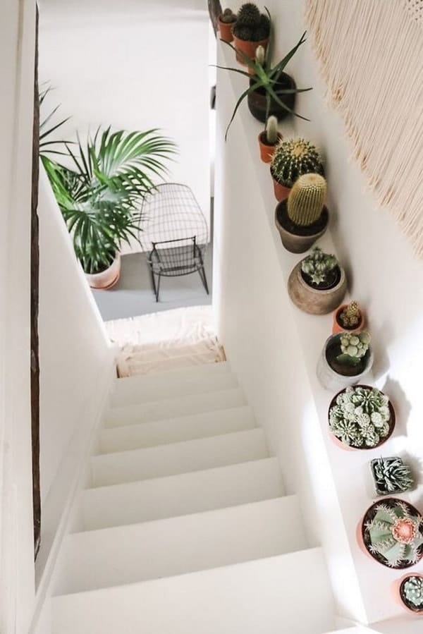 Ideas para decorar con cactus pequeños
