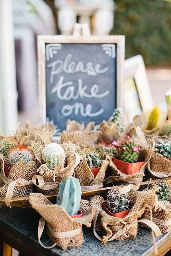 Souvenirs con cactus