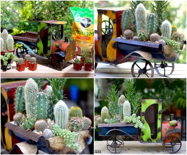 Proyecto DIY con cactus