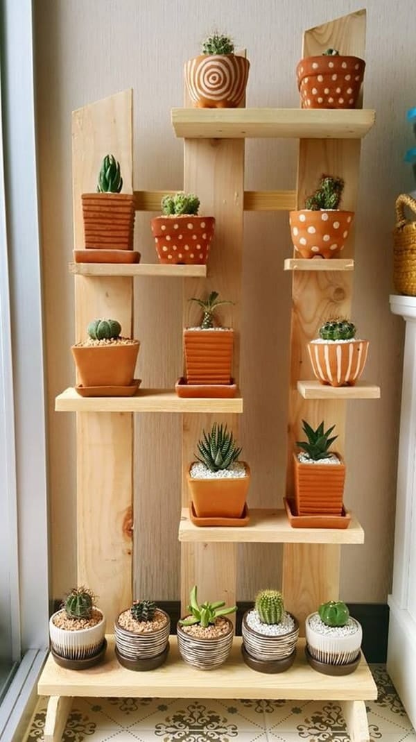 Repisa con palets para colocar cactus
