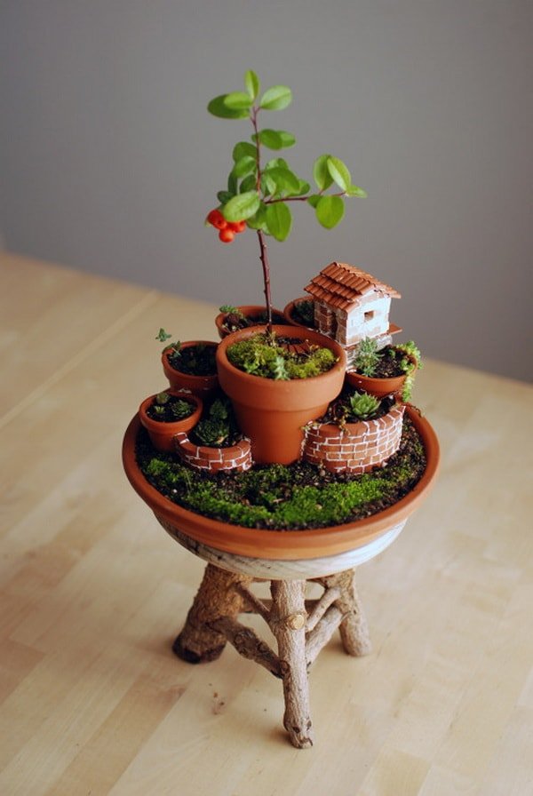 Mini jardines en macetas