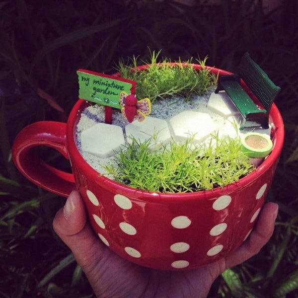 Jardín en miniatura en una taza