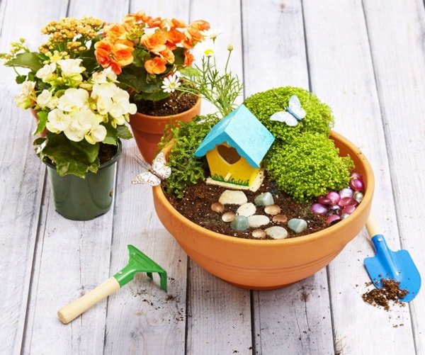 Jardines en miniatura