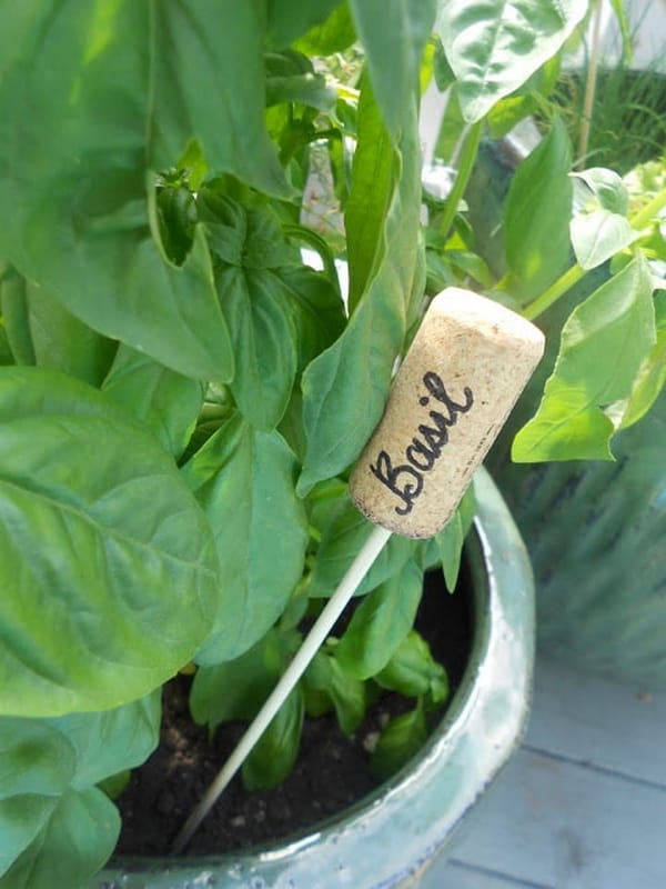 Rotuladores para plantas