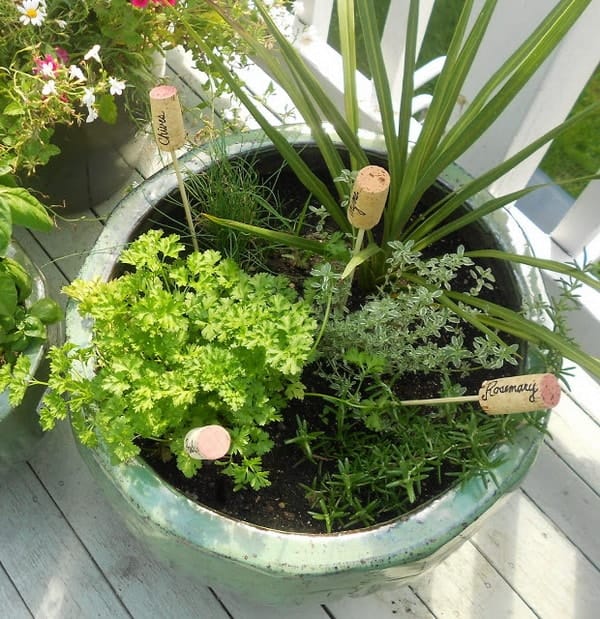 Plantas rotuladas