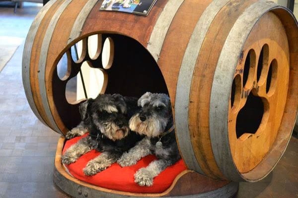 Camas para perros hechas con barricas de madera