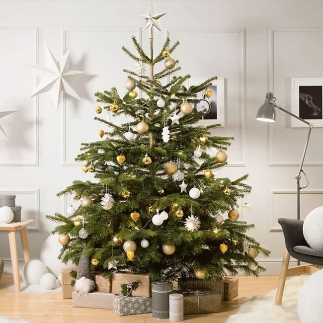 Colores Navidad 2019/2020: dorado