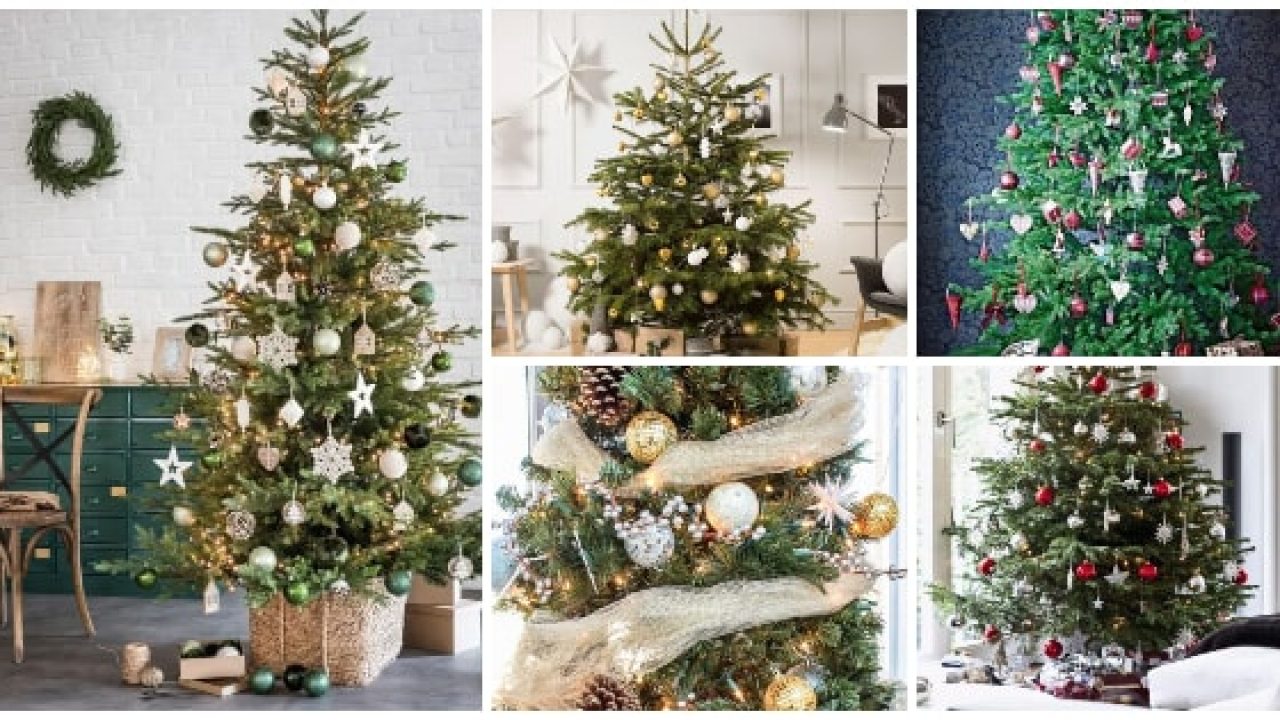Navidad 2021/2022. en decoración navideña.